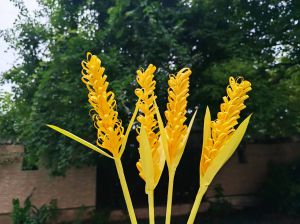 6月